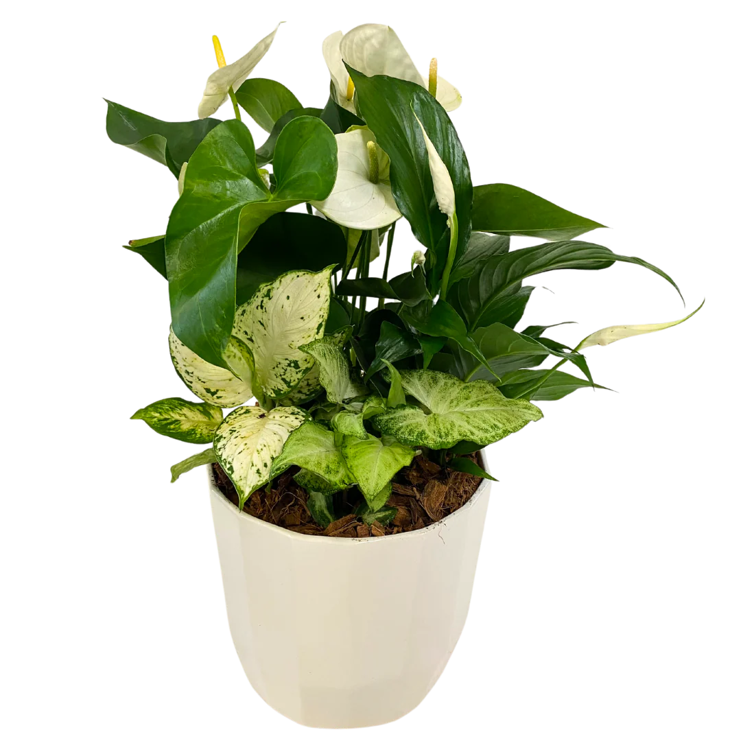 Geometric Planter