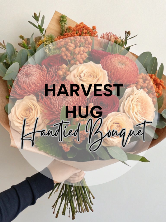 Harvest Hug
