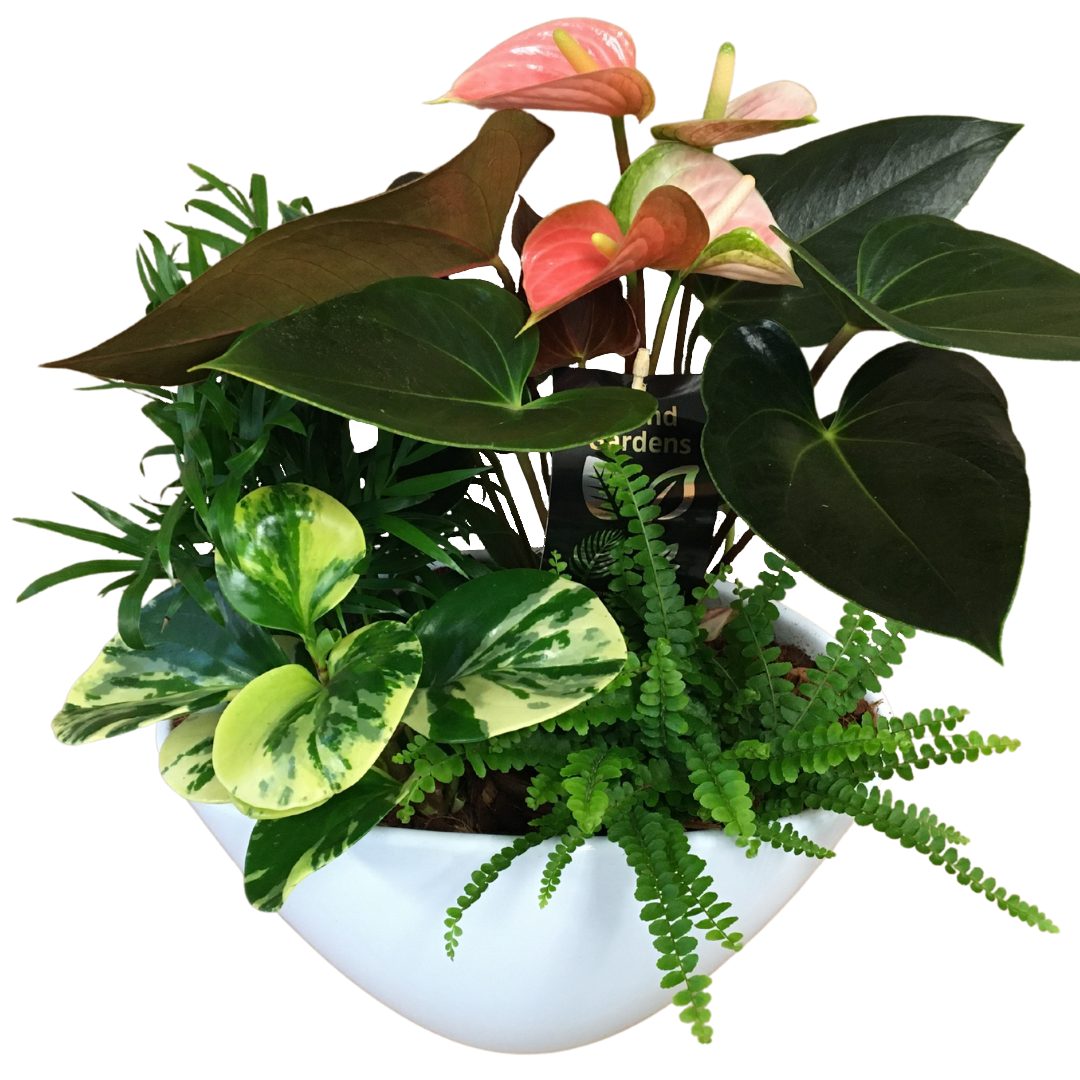 Eileen Mixed Planter