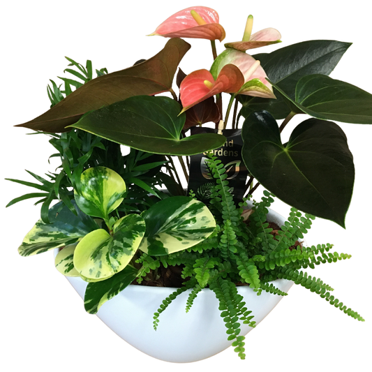 Eileen Mixed Planter